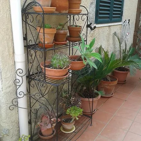 Hébergement de vacances Acajou *